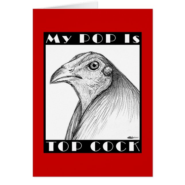 Pop is de bovenste luchtvogel (Voorkant)