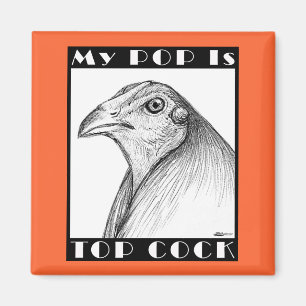Pop is de bovenste luchtvogel magneet