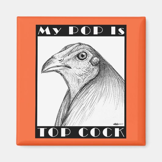 Pop is de bovenste luchtvogel magneet (Voorkant)