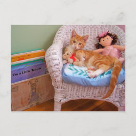 pop kat Cole Briefkaart