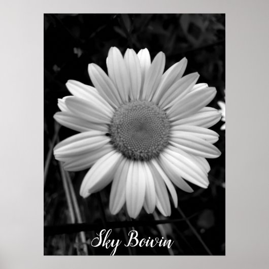 pop margriet poster (Voorkant)