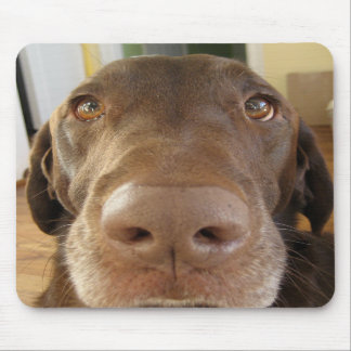 POP mousepad Muismat