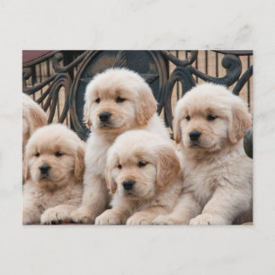 Pop omhoog! Puppies Briefkaart
