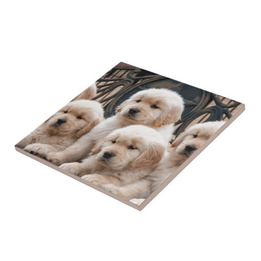 Pop omhoog! Puppies Tegeltje (Zijkant)