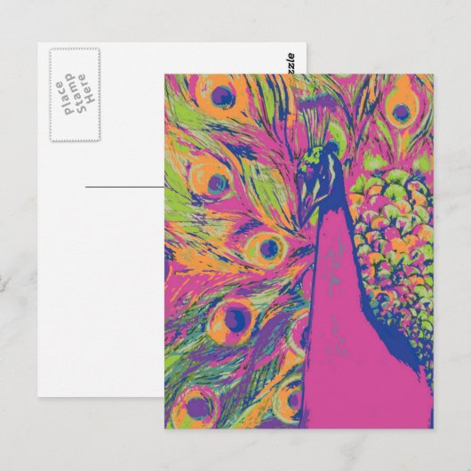 Pop Peacock Briefkaart (Voorkant / Achterkant)