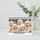Pop-up! Puppies Briefkaart (Staand voorkant)