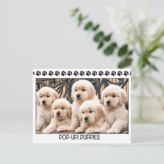 Pop-up! Puppies Briefkaart (Staand voorkant)