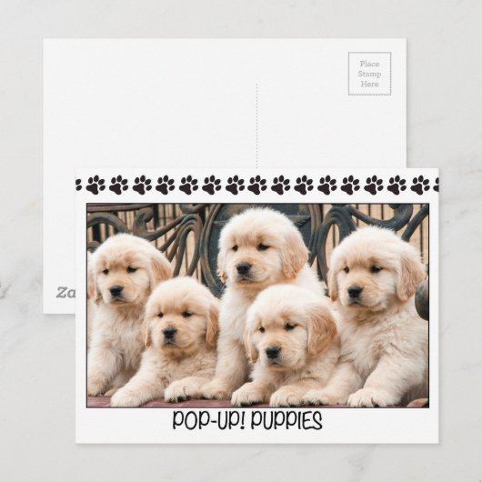Pop-up! Puppies Briefkaart (Voorkant / Achterkant)