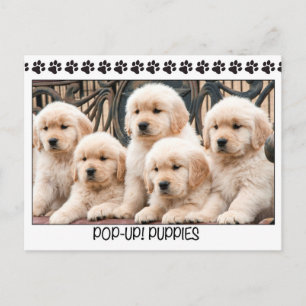 Pop-up! Puppies Briefkaart