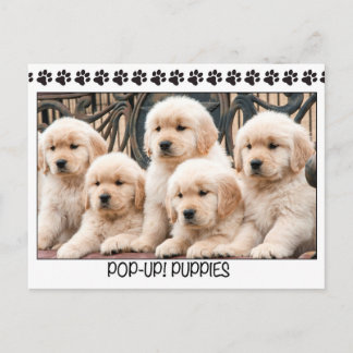 Pop-up! Puppies Briefkaart