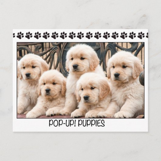Pop-up! Puppies Briefkaart (Voorkant)