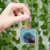 Pop-up schilderij van een zeehond sleutelhanger (Hand)