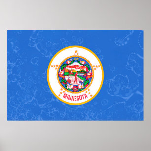 Pop van de vlag van de staat Minnesota Poster