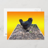 Pop van gele kippen uit Art Briefkaart (Voorkant / Achterkant)