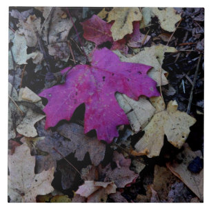 Pop van het roze blad tegeltje