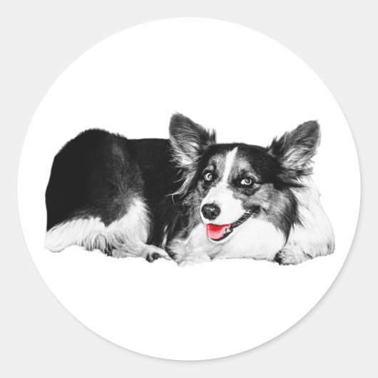 Pop van Rood, Pocket of Joy Ronde Sticker (Voorkant)