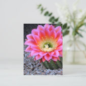 Pop van roze cactus briefkaart (Staand voorkant)