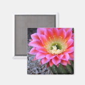 Pop van roze cactus magneet (Voorkant / Achterkant)