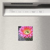 Pop van roze cactus magneet (Insitu (Vaatwasser))
