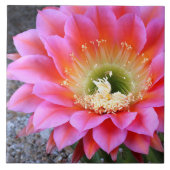 Pop van roze cactus tegeltje (Voorkant)