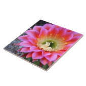 Pop van roze cactus tegeltje (Zijkant)