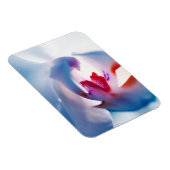 Pop voor orchidee in kleur Flexibel fotomagneet Magneet (Rechterzijde)