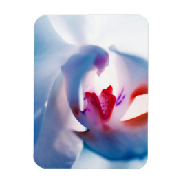 Pop voor orchidee in kleur Flexibel fotomagneet Magneet