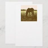 Pop voor paardengrazing briefpapier (Voorkant / Achterkant)