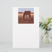 Pop voor paardengrazing briefpapier (Staand voorkant)