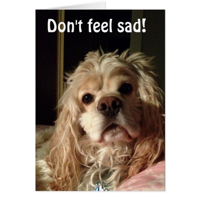 POP ZEGT DAT U GOED KIJKT VOOR "50" (Voorkant)