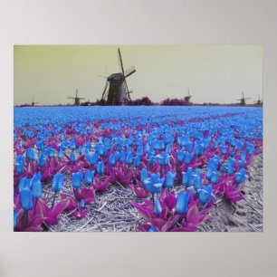 Popart Blue Tulips Windmills Landschap Poster