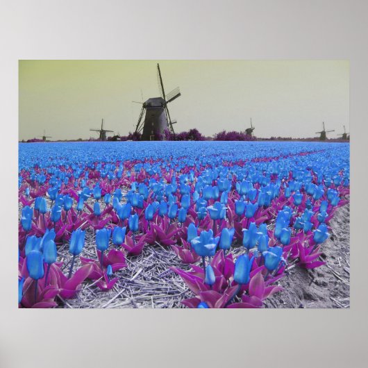 Popart Blue Tulips Windmills Landschap Poster (Voorkant)