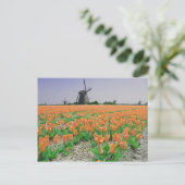Popart Windmills Oranje Tulps Briefkaart (Staand voorkant)
