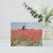 Popart Windmills Red Tulips Briefkaart (Staand voorkant)