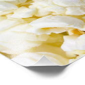 Popcorn-achtergrond Foto Afdruk (Hoek)