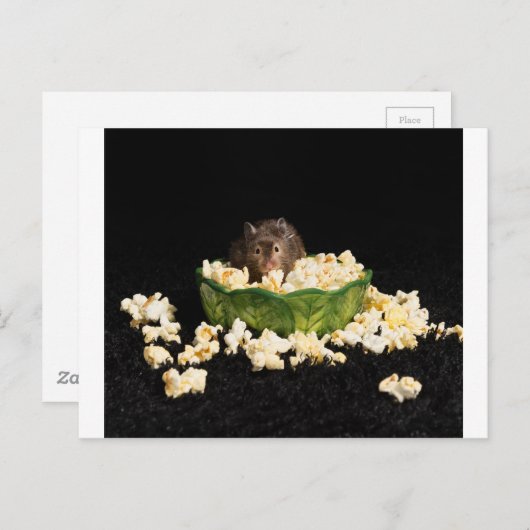 Popcorn Briefkaart (Voorkant / Achterkant)