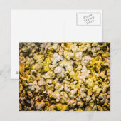 Popcorn Briefkaart (Voorkant / Achterkant)