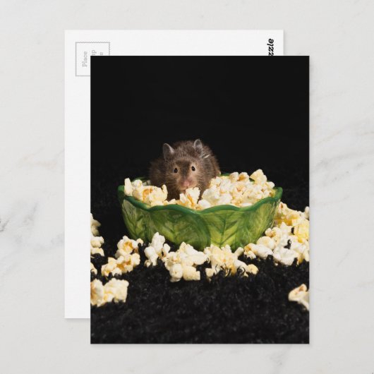 Popcorn Briefkaart (Voorkant / Achterkant)