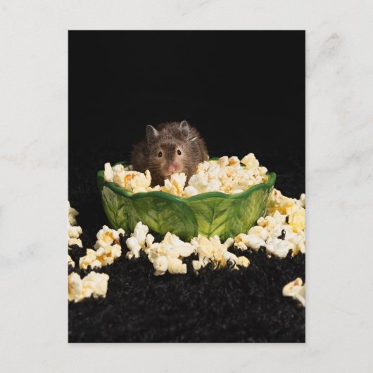 Popcorn Briefkaart (Voorkant)