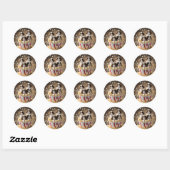 Popcorn Cavalier Spaniel Puppies, Ronde Sticker (Vel)