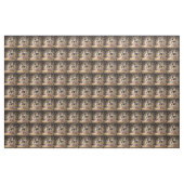 Popcorn Cavalier Spaniel Pups, Stof (Yard (91,4 cm))