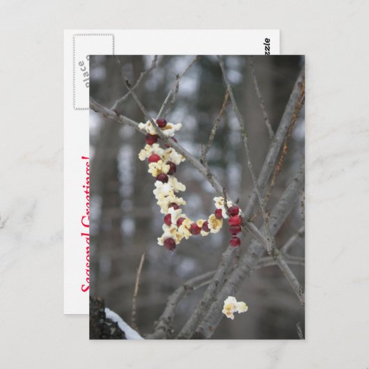 Popcorn en Cranberries Garland Briefkaart (Voorkant / Achterkant)