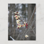 Popcorn en Cranberries Garland Briefkaart (Voorkant)