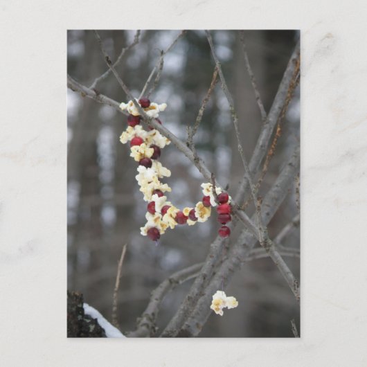 Popcorn en Cranberries Garland Briefkaart (Voorkant)