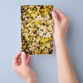 Popcorn Flyer (Hand)