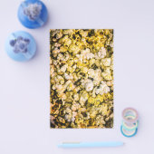 Popcorn Flyer (Enkel)