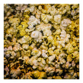 Popcorn Poster (Voorkant)