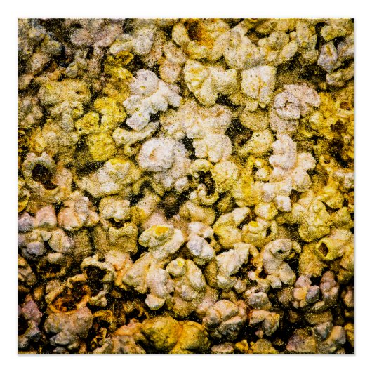 Popcorn Poster (Voorkant)