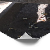 popcorn poster (Hoek)