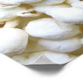 Popcorn texture Photography Poster (Hoek)